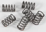 EBC CSK18 Redline Clutch Springs - High-Performance Clutch Springs for Powersports Vehicles