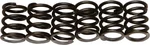 EBC CSK19 Redline Clutch Springs - High-Performance Clutch Springs for Powersports Vehicles