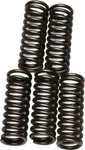 EBC CSK73 Redline Clutch Springs - High-Performance Clutch Kit for Powersports Vehicles