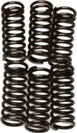 EBC CSK96 Redline Clutch Springs - High-Performance Clutch Kit for Powersports Vehicles