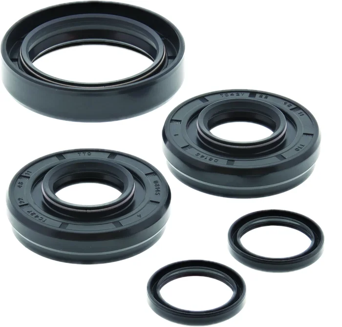 ALL BALLS - 25-2100-5 - Differential Bearing & Seal Kit