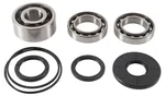 ALL BALLS - 25-2108 - Differential Bearing & Seal Kit