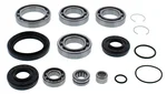 ALL BALLS - 25-2110 - Differential Bearing & Seal Kit