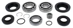ALL BALLS - 25-2111 - Differential Bearing & Seal Kit