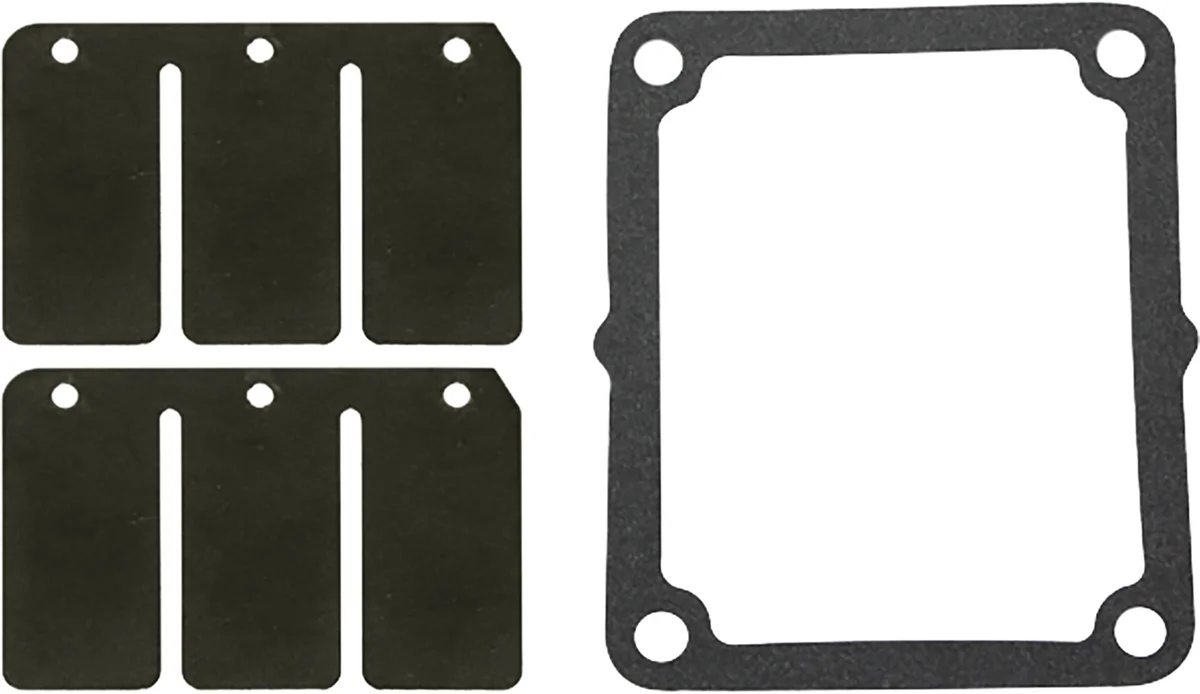 SP1 - SM-07157C - Reed Valve Rebuild Kit