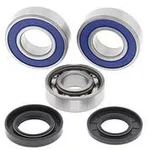 ALL BALLS - 14-1070 - Chaincase Bearing and Seal Kit