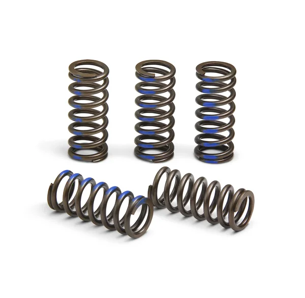 PRO CIRCUIT - CSY19065-CS - High Performance Clutch Springs