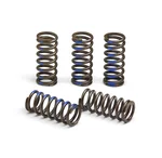 PRO CIRCUIT - CSY19065-CS - High Performance Clutch Springs