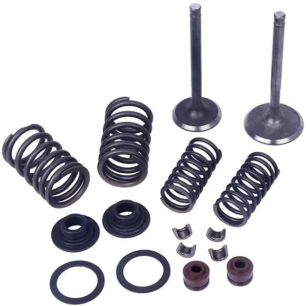 MOGO PARTS - 61-0220 - Vertical Engine Valve Kit