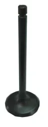 BRONCO - AU-09158E - Exhaust Valve