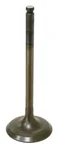 BRONCO - AU-09159I - Intake Valve