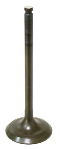 BRONCO - AU-09160I - Intake Valve