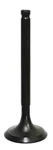 BRONCO - AU-09163I - Intake Valve