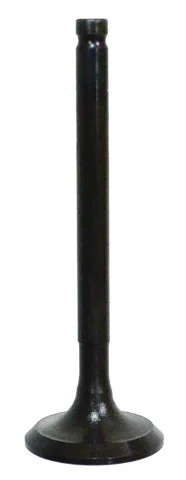 BRONCO - AU-09163E - Exhaust Valve