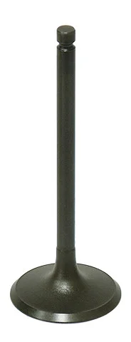 BRONCO - AU-09191I - Intake Valve
