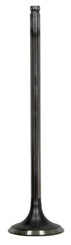 BRONCO - AU-09192I - Intake Valve