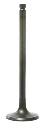 BRONCO - AU-09193I - Intake Valve