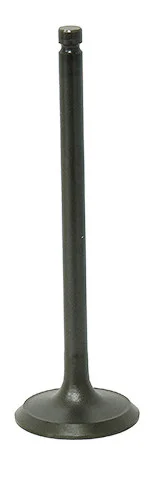 BRONCO - AU-09194E - Exhaust Valve