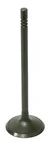 BRONCO - AU-09195I - Intake Valve
