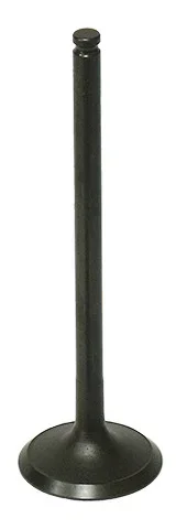 BRONCO - AU-09197E - Exhaust Valve