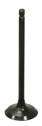 BRONCO - AU-09199E - Exhaust Valve