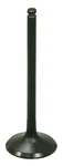 BRONCO - AU-09201E - Exhaust Valve
