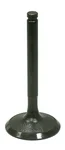 BRONCO - AU-09207I - Intake Valve