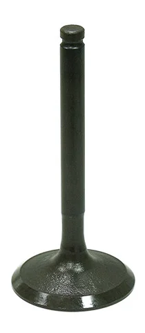 BRONCO - AU-09207I - Intake Valve