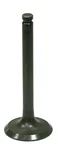 BRONCO - AU-09207E - Exhaust Valve