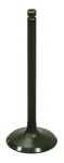 BRONCO - AU-09215I - Intake Valve