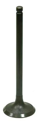 BRONCO - AU-09216I - Intake Valve