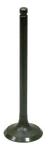 BRONCO - AU-09216I - Intake Valve