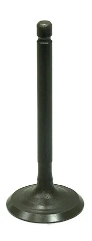 BRONCO - AU-09217I - Intake Valve