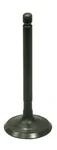 BRONCO - AU-09217I - Intake Valve