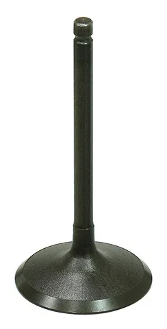 BRONCO - AU-09219I - Intake Valve