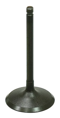 BRONCO - AU-09219I - Intake Valve