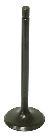 BRONCO - XU-09500I - Intake Valve