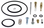ALL BALLS - 26-1756 - Carburetor kit