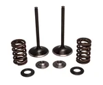 KPMI - 30-33200 - Intake Valve Spring Kit