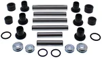 ALL BALLS - 50-1178 - Rear Independent Suspension Bushing
