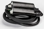 RICKS - 23-106 - Ignition Coil
