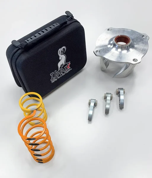 IBEXX - 12732-01 - Stage 2 Clutch Kit