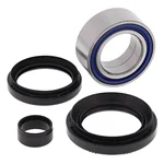ALL BALLS - 25-1621 - All Balls Wheel Bearing Kits