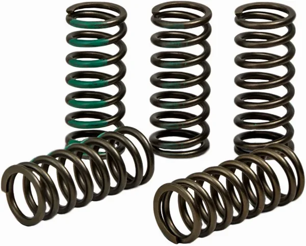PRO CIRCUIT - CSK19450-CS - High Performance Clutch Springs