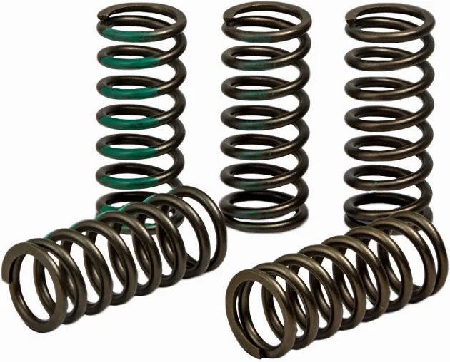 PRO CIRCUIT - CSK19450-CS - High Performance Clutch Springs