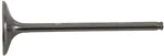 HOT CAMS - 8400032-2 - Intake Valve