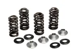 KPMI - 80-82300 - Racing Valve Spring Kit