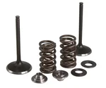 KPMI - 80-82350 - Intake Valve Spring Kit