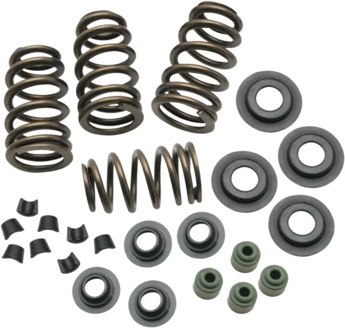 ROCKET PERFORMANCE GARAGE LLC - 4-4101 - Spring Kit
