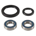 ALL BALLS - 25-1753 - All Balls Wheel Bearing Kits